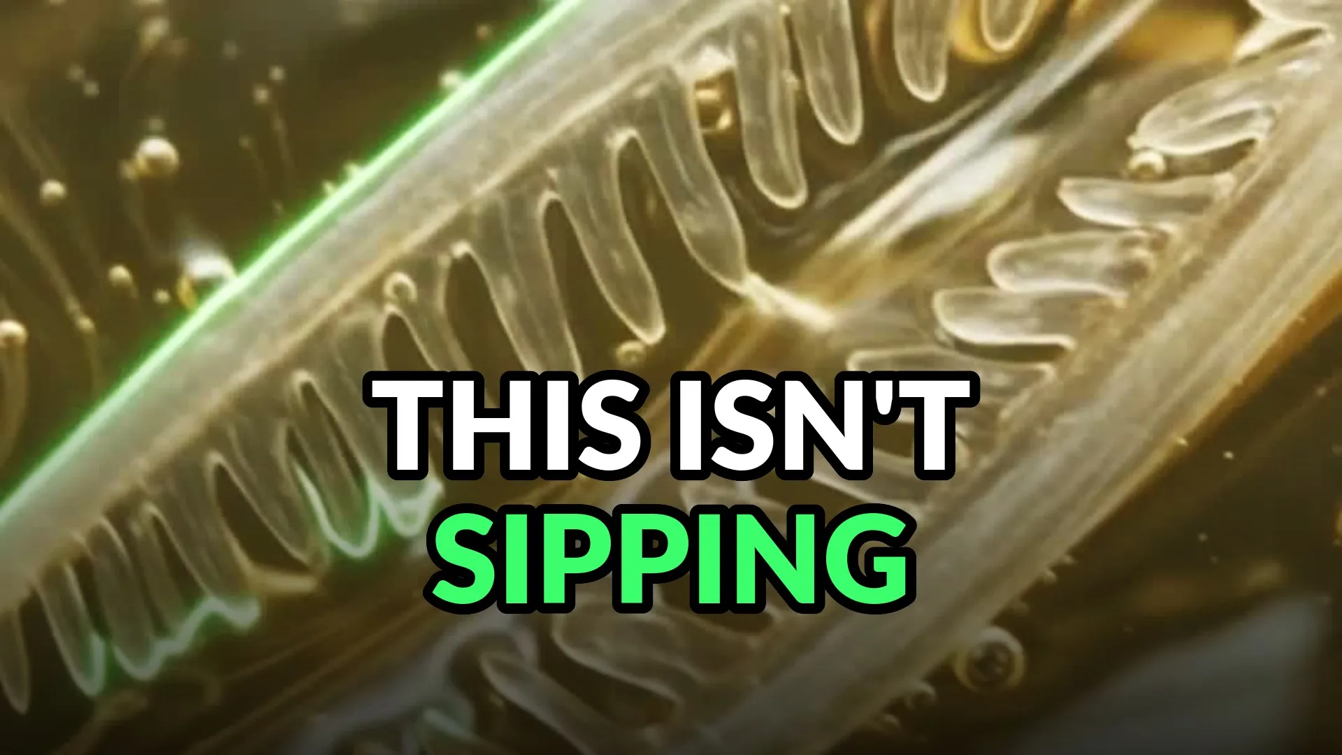 Macro of a hummingbird's forked tongue in nectar, the fringe along each rail sprung open and traced in green. Burned-in caption: This isn't sipping.