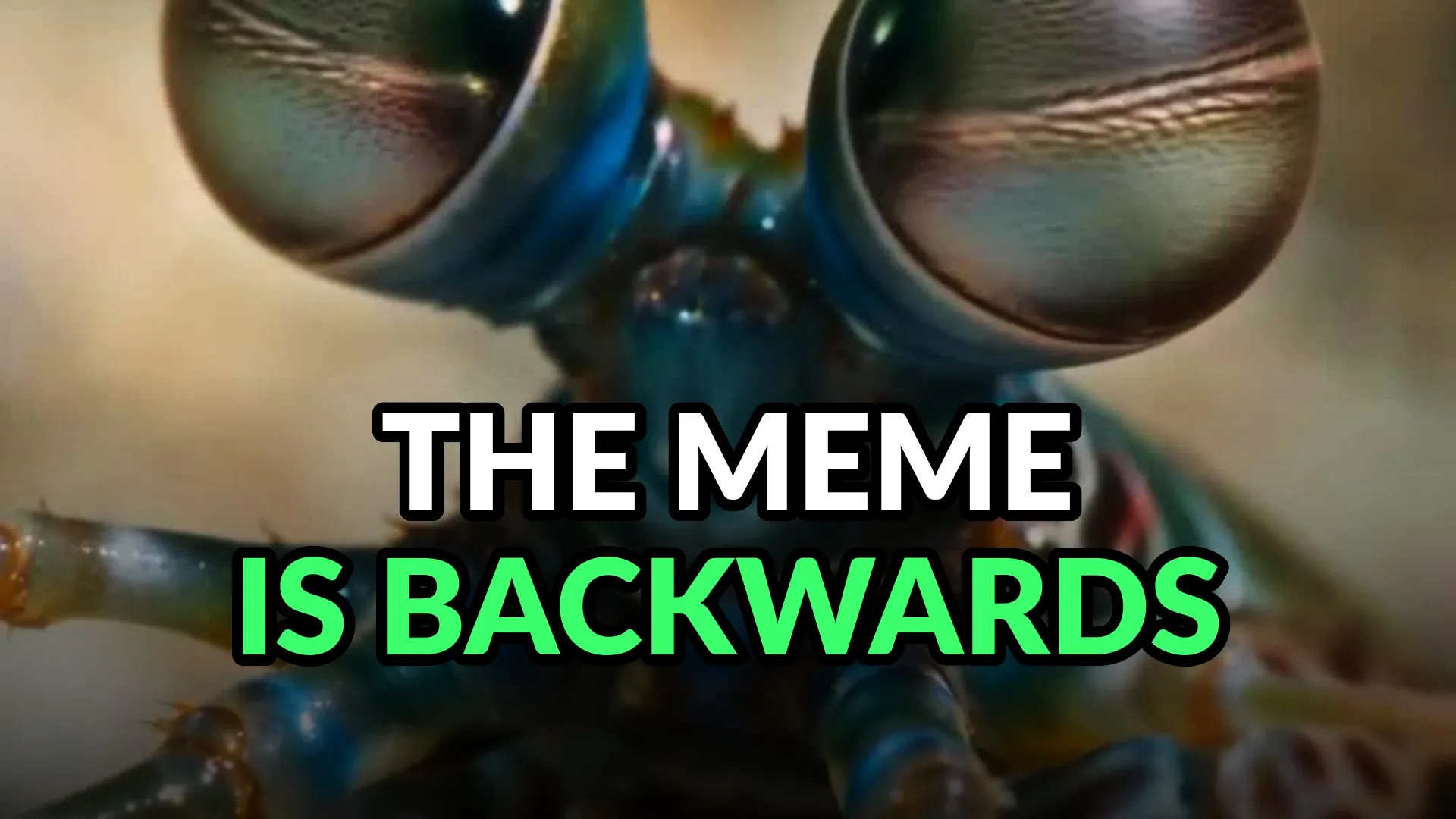 A mantis shrimp head-on, its two stalked eyes filling the frame above blue and green armour. Burned-in caption: The meme is backwards.